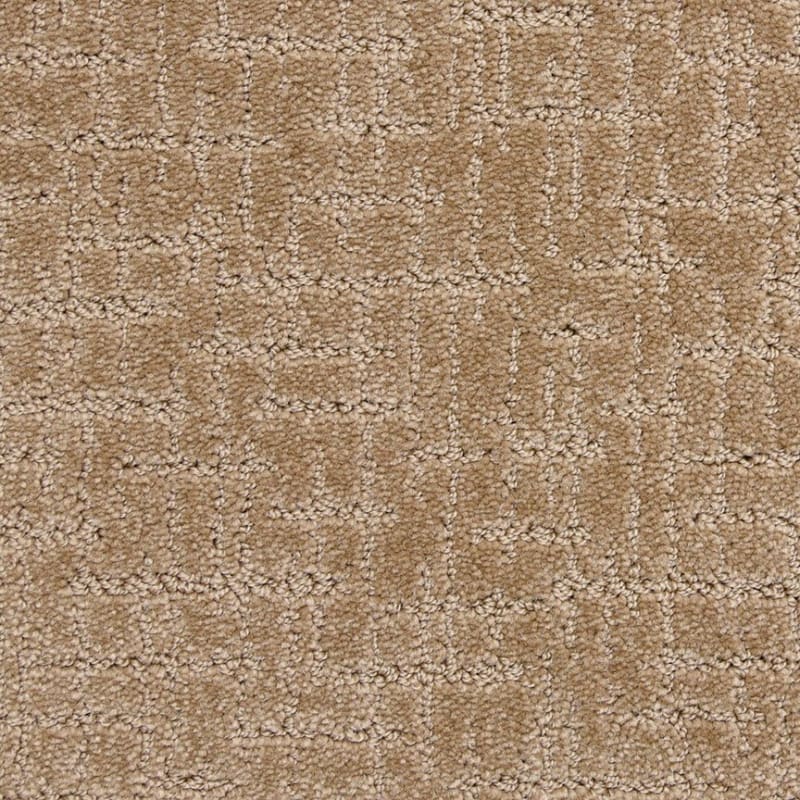 Amazing carpet by Dixie Home