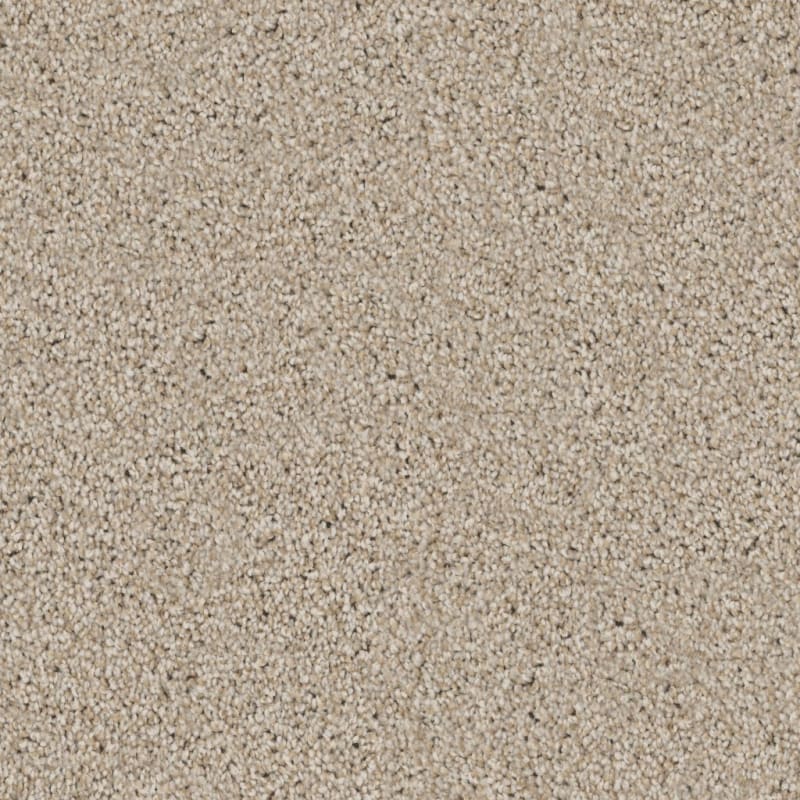 Admiration carpet by Dixie Home