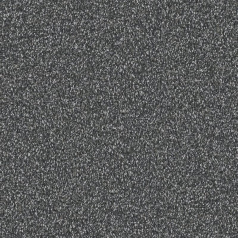 Admiration carpet by Dixie Home