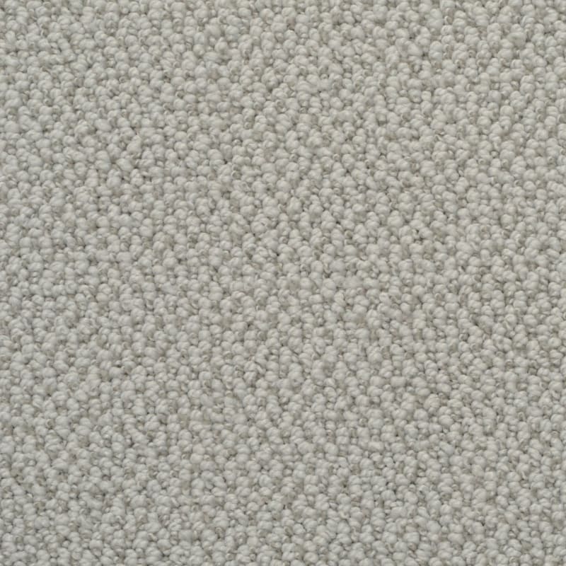 Authentic Living carpet by Dixie Home