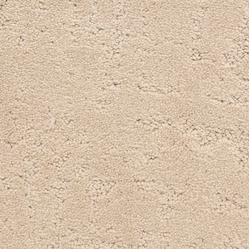Classic Demeanor carpet by Dixie Home