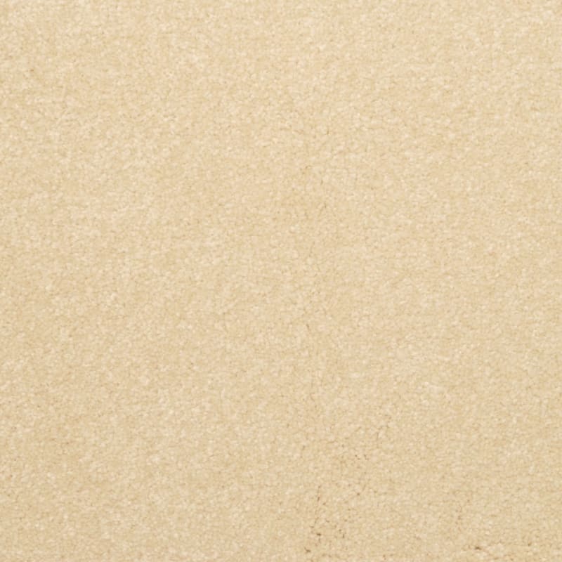 Inspiring carpet by Dixie Home
