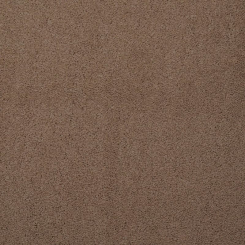 Touch of Velvet carpet by Dixie Home