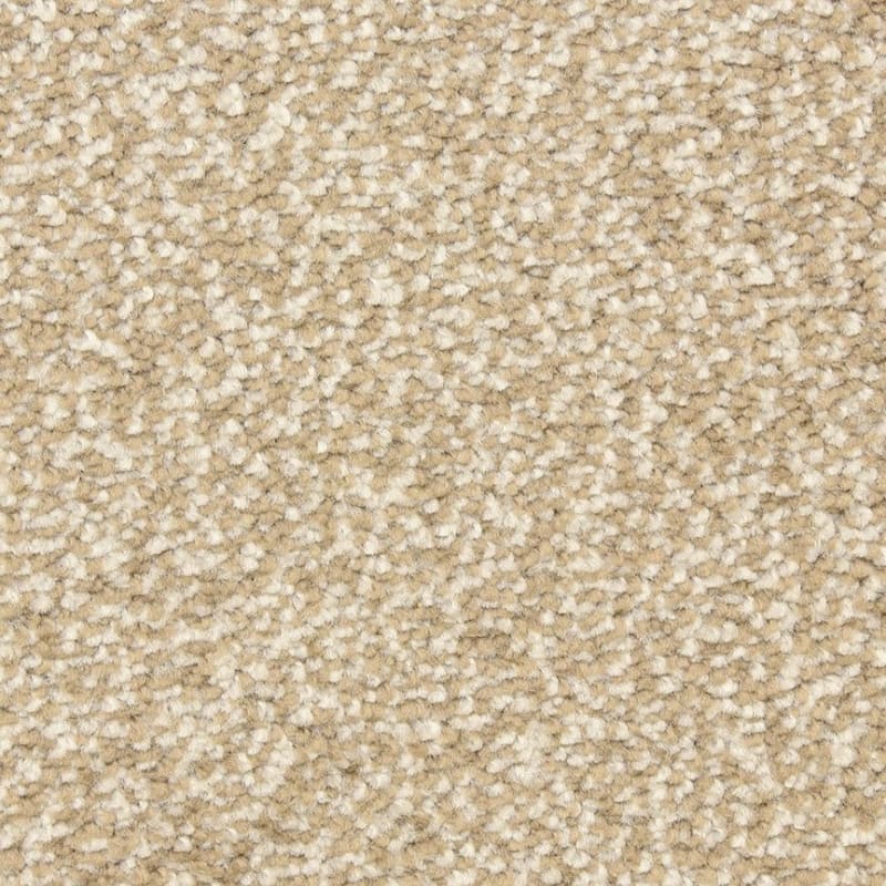 Spirit carpet by Dixie Home