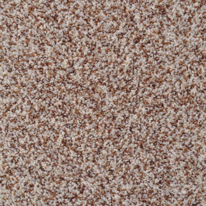 Bombay carpet by Dixie Home
