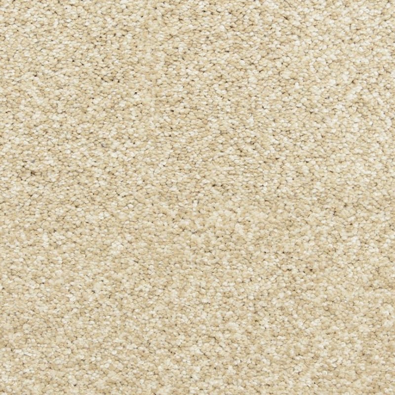 Star Power carpet by Dixie Home