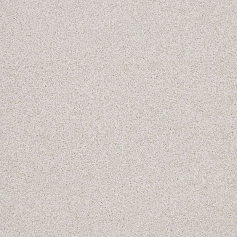 Big Dog carpet by Dixie Home