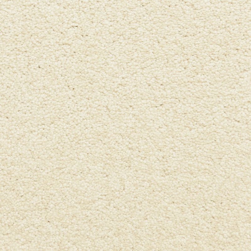 Katie's Comfort carpet by Dixie Home