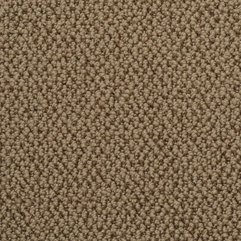 Authentic Living carpet by Dixie Home