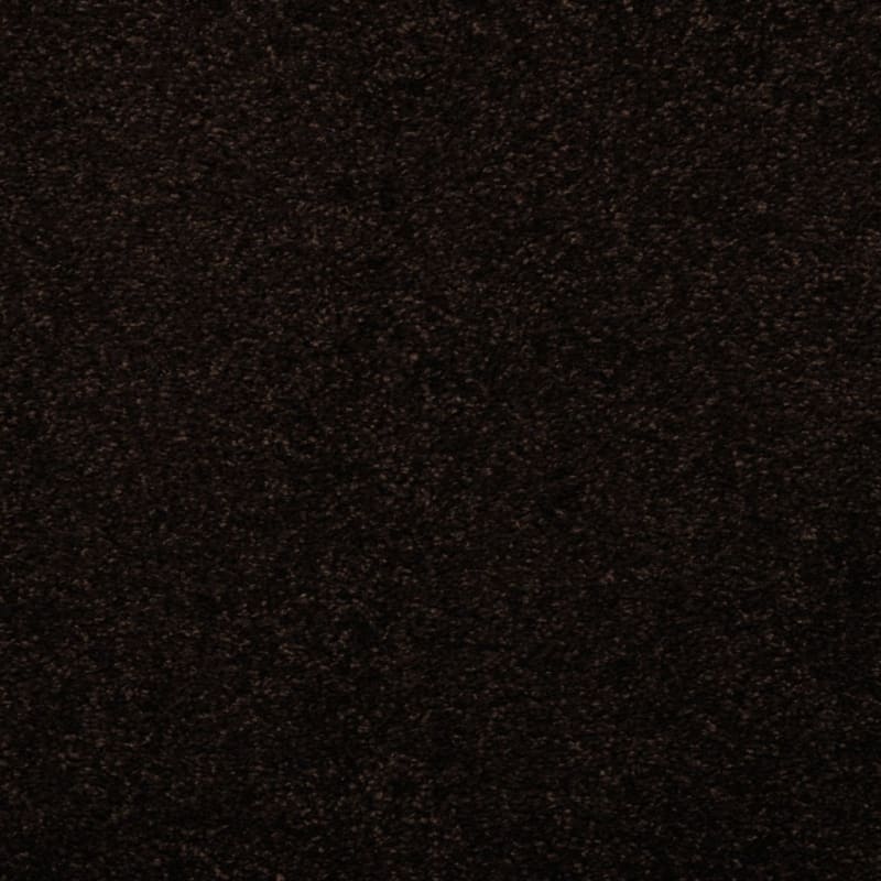 Soft & Silky carpet by Dixie Home