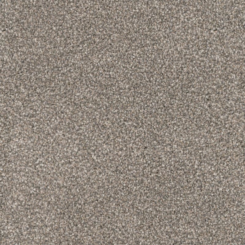 Great Dane carpet by Dixie Home