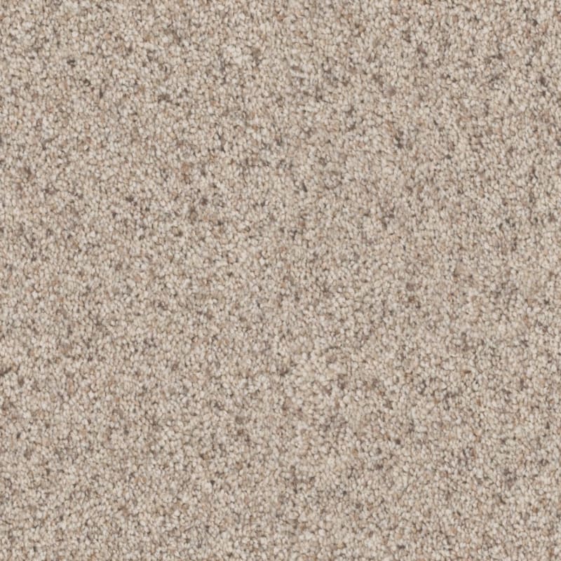 Adore carpet by Dixie Home