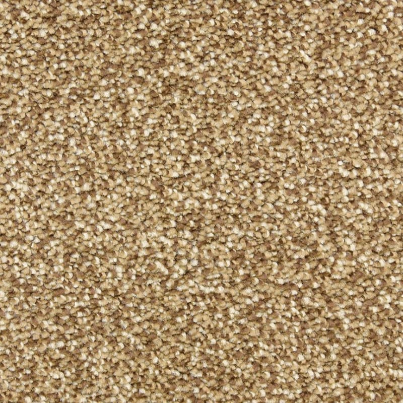 Gusto carpet by Dixie Home
