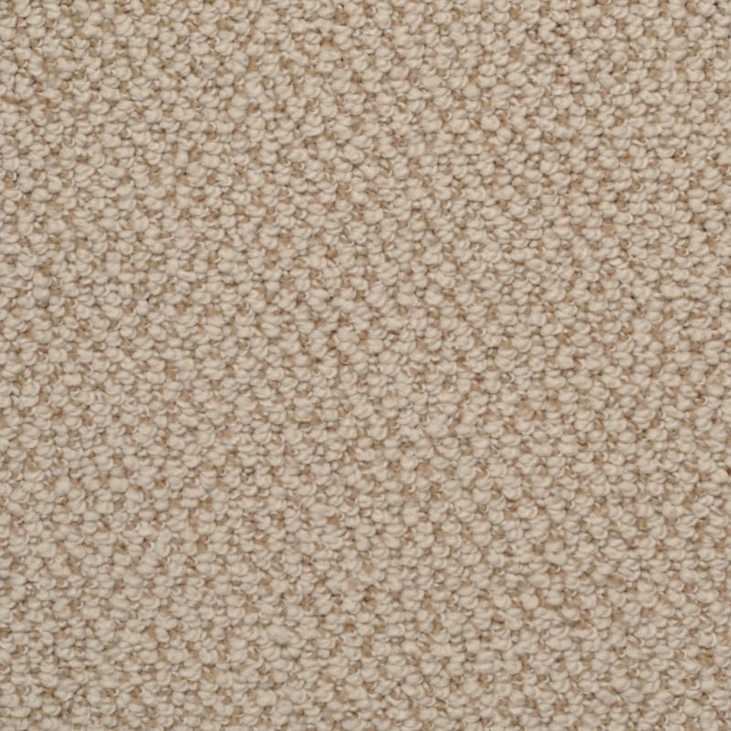 Authentic Living carpet by Dixie Home