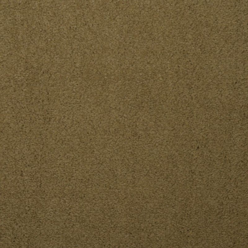 Touch of Velvet carpet by Dixie Home