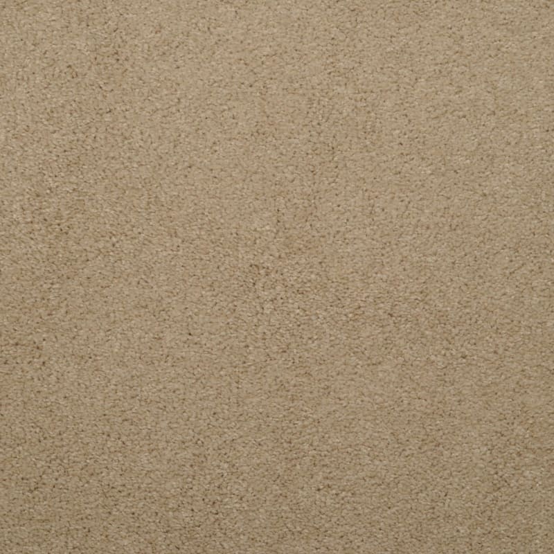 Soft & Silky carpet by Dixie Home