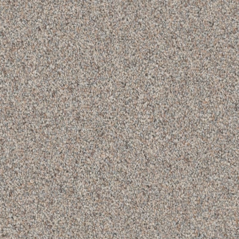 Admiration carpet by Dixie Home