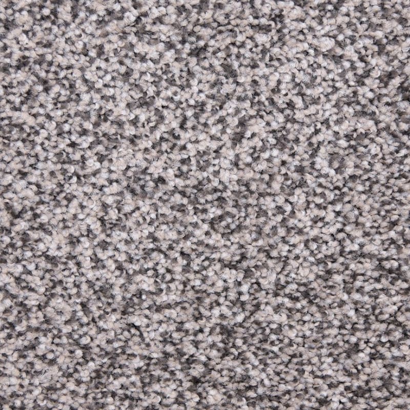 Star Power carpet by Dixie Home