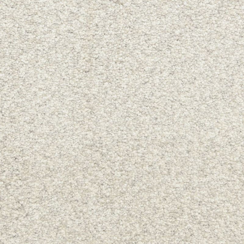 Star Power carpet by Dixie Home