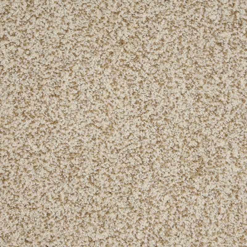New Age carpet by Dixie Home