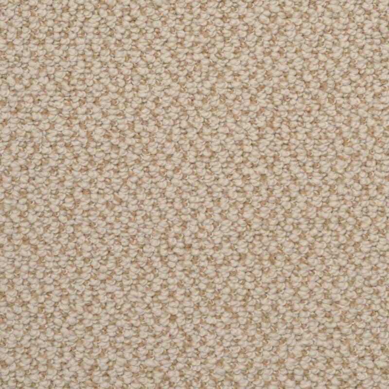 Authentic Living carpet by Dixie Home