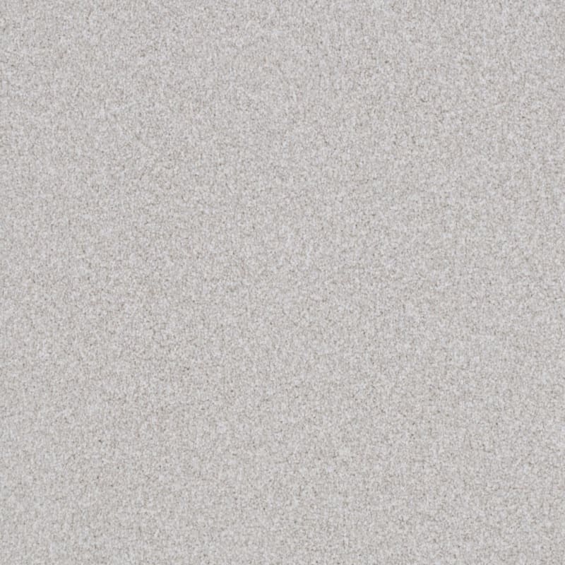 Top Dog carpet by Dixie Home