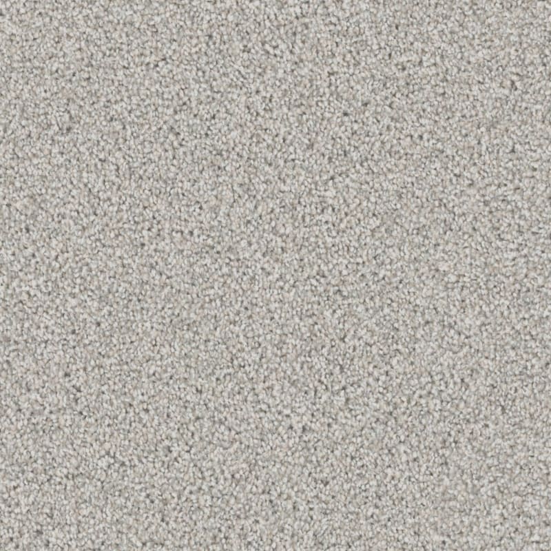 Admiration carpet by Dixie Home