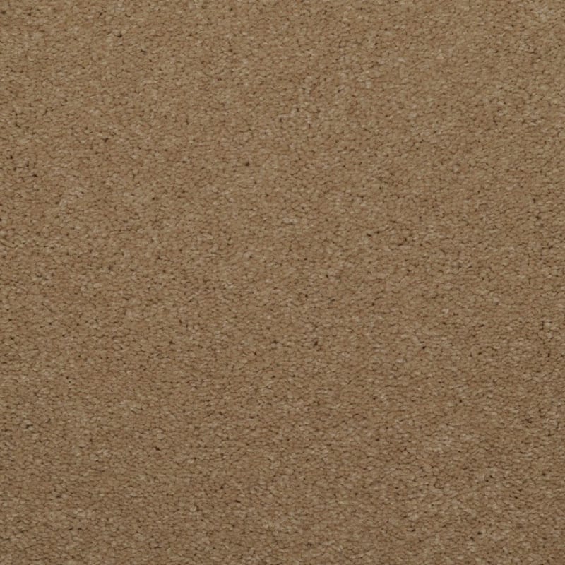 Spellbinding carpet by Dixie Home