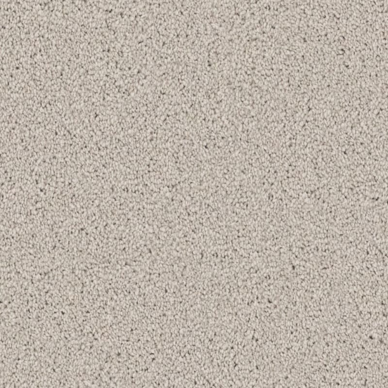 Affection carpet by Dixie Home