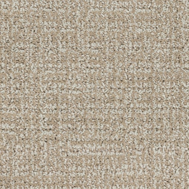 Connection carpet by Dixie Home