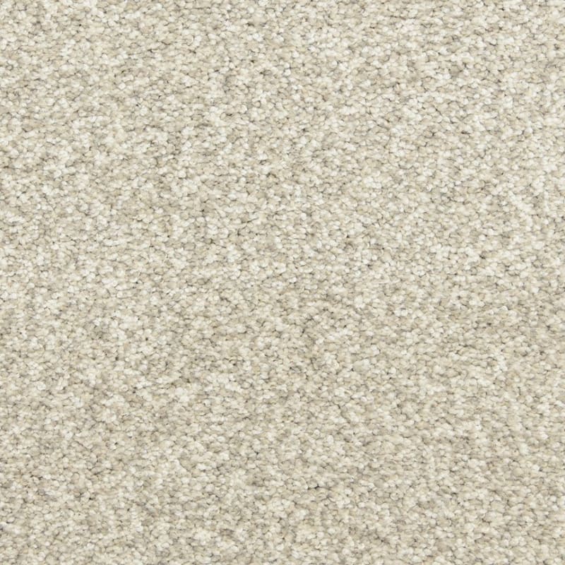 Star Power carpet by Dixie Home