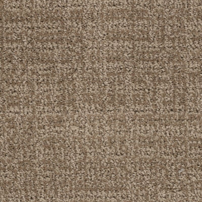 Connection carpet by Dixie Home