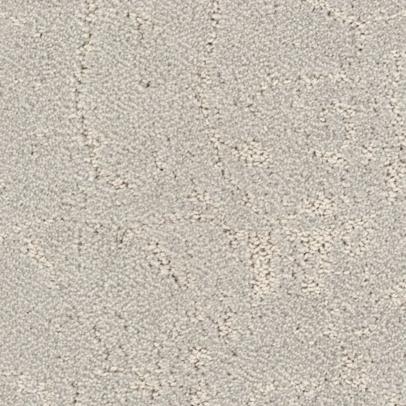 Shelter carpet by Dixie Home