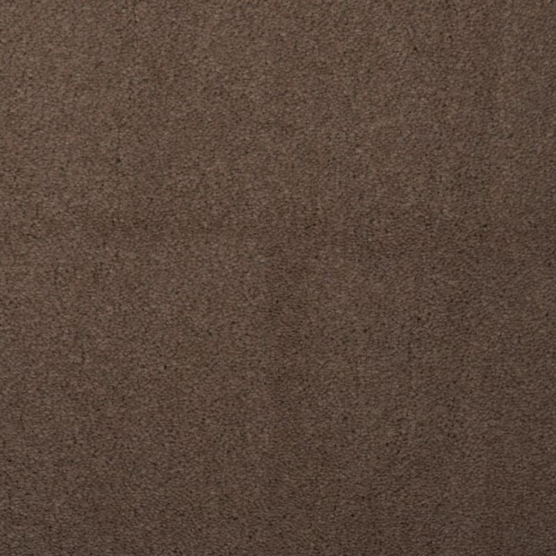Touch of Velvet carpet by Dixie Home