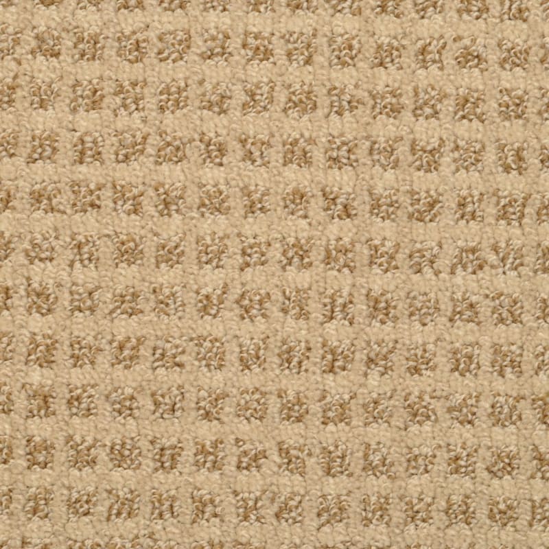 Rock Creek carpet by Dixie Home