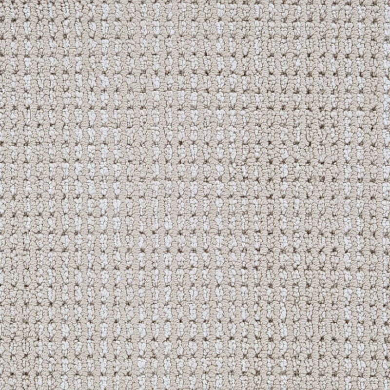 Top Notch carpet by Dixie Home