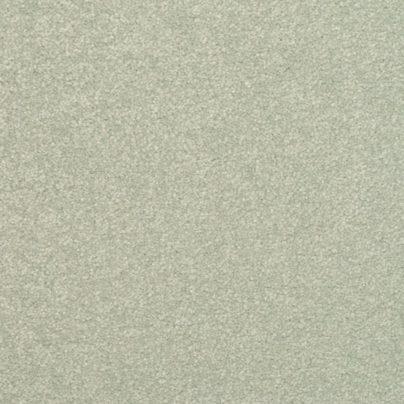 Inspiring carpet by Dixie Home