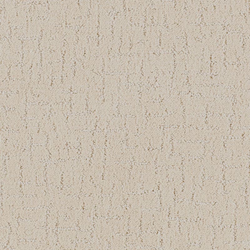 Dx301 carpet by Dixie Home