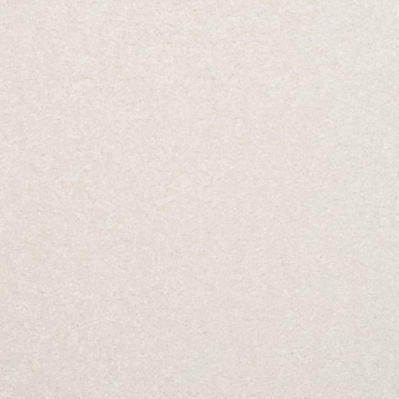 Inspiring carpet by Dixie Home