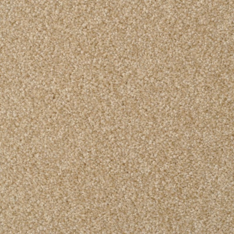 Heart's Content carpet by Dixie Home