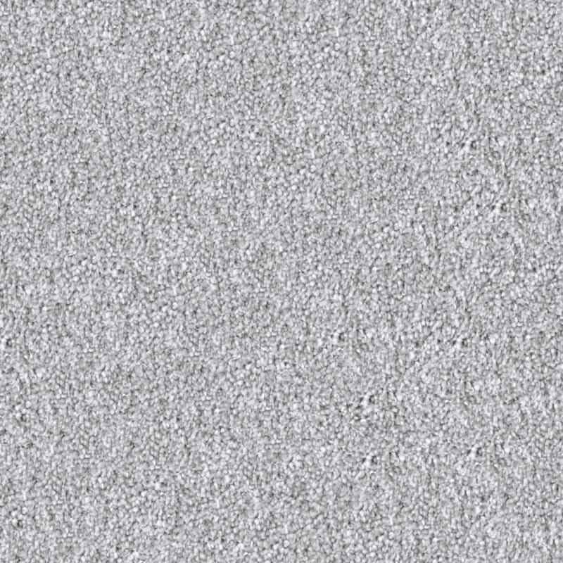 Dx835 carpet by Dixie Home
