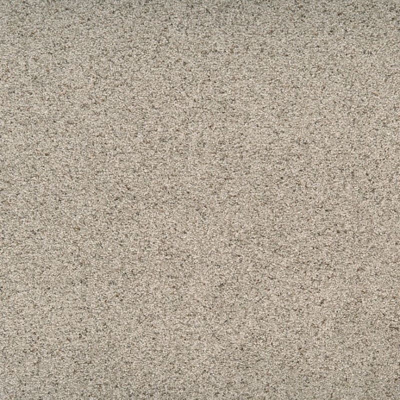 Legit carpet by Dixie Home