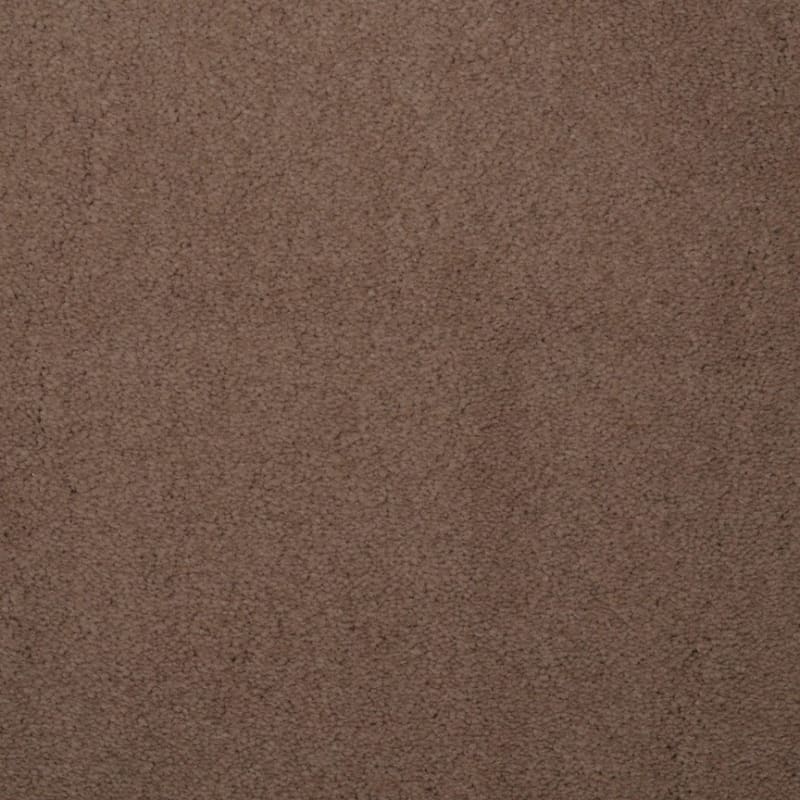 Touch of Velvet carpet by Dixie Home