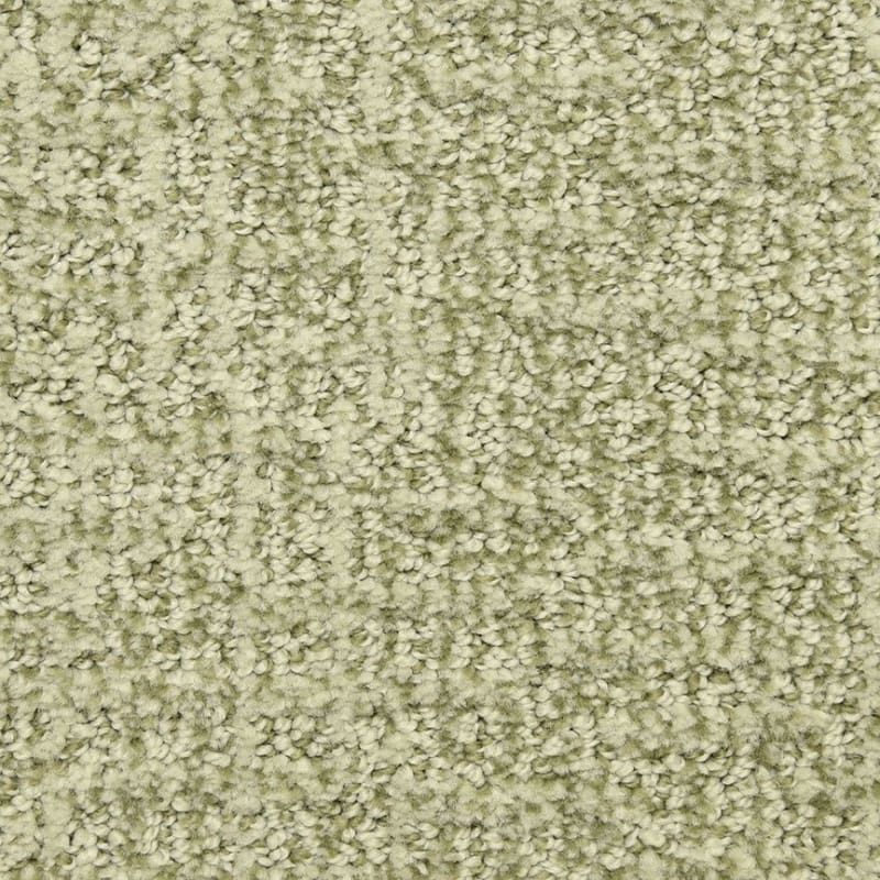 Aspects carpet by Dixie Home