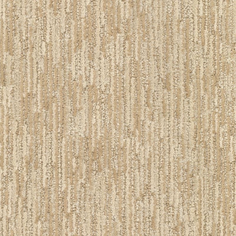 Envy carpet by Dixie Home