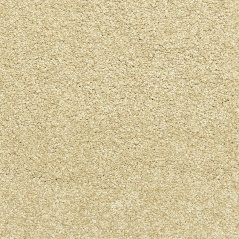 Maroon Bells carpet by Dixie Home