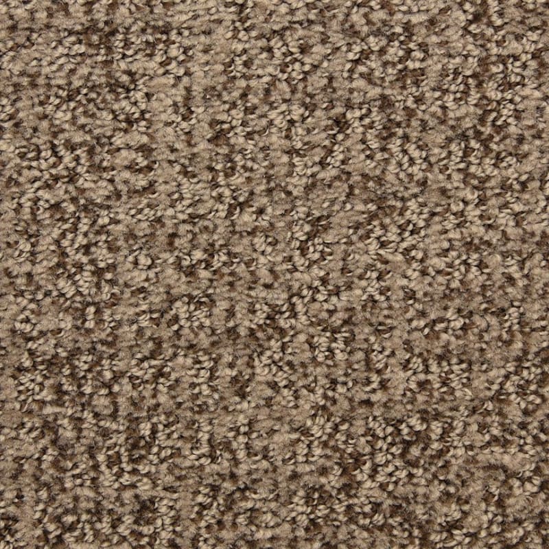 Aspects carpet by Dixie Home