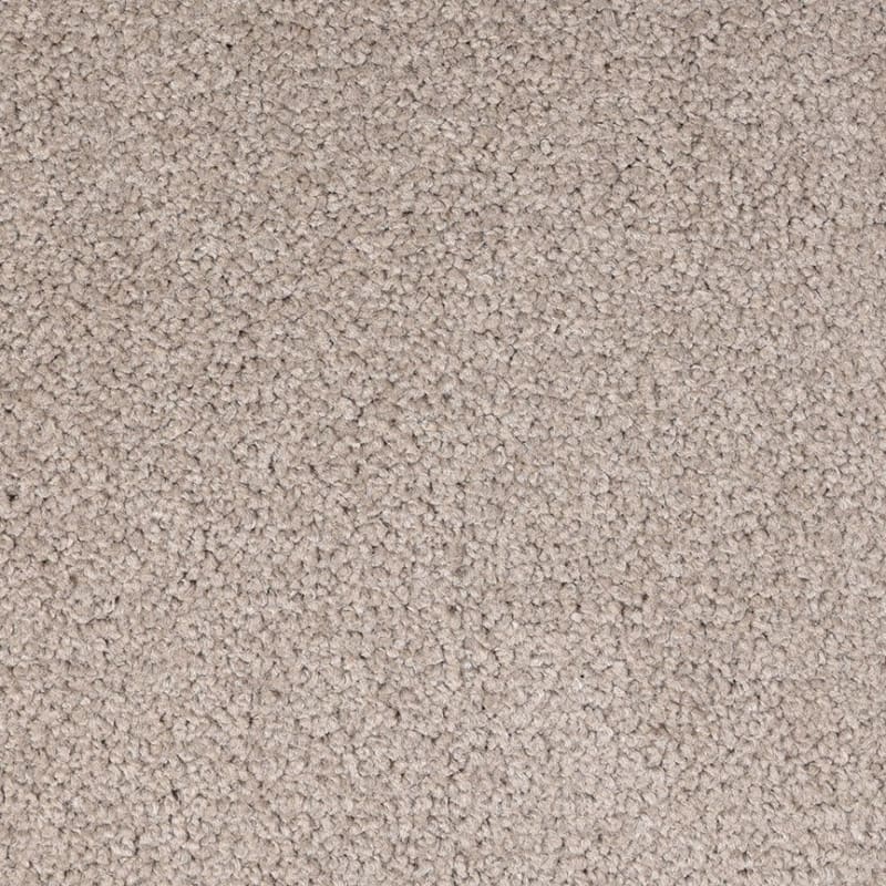 Spectrum carpet by Dixie Home