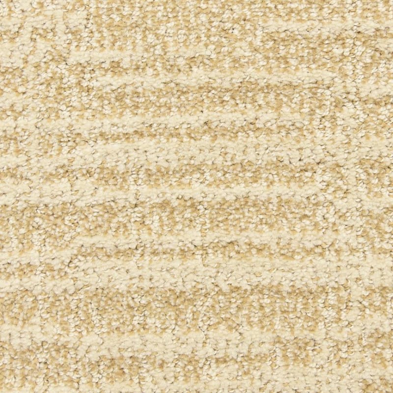 Expressions carpet by Dixie Home