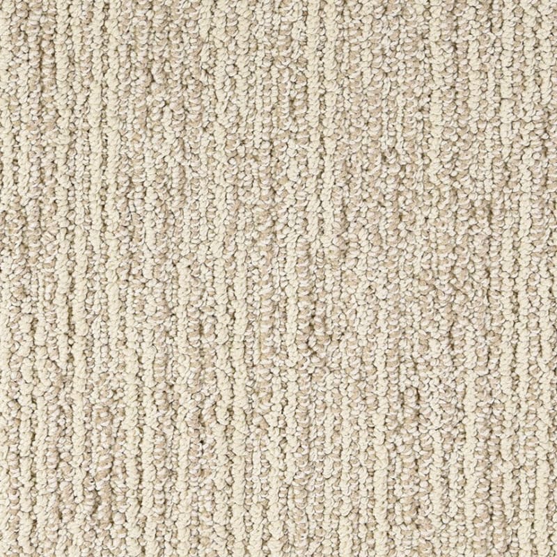 Advocate carpet by Dixie Home